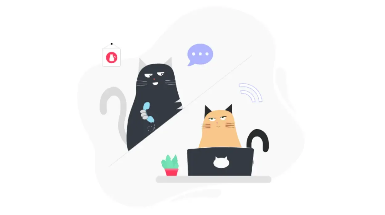 Developer interview process