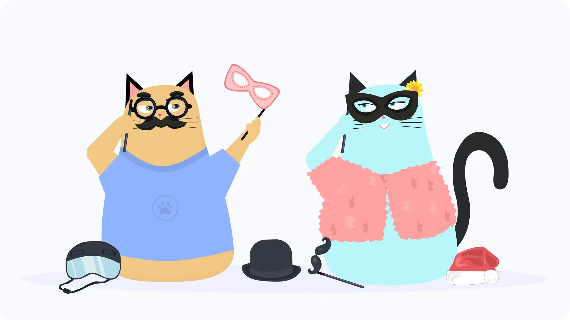 Developer profile