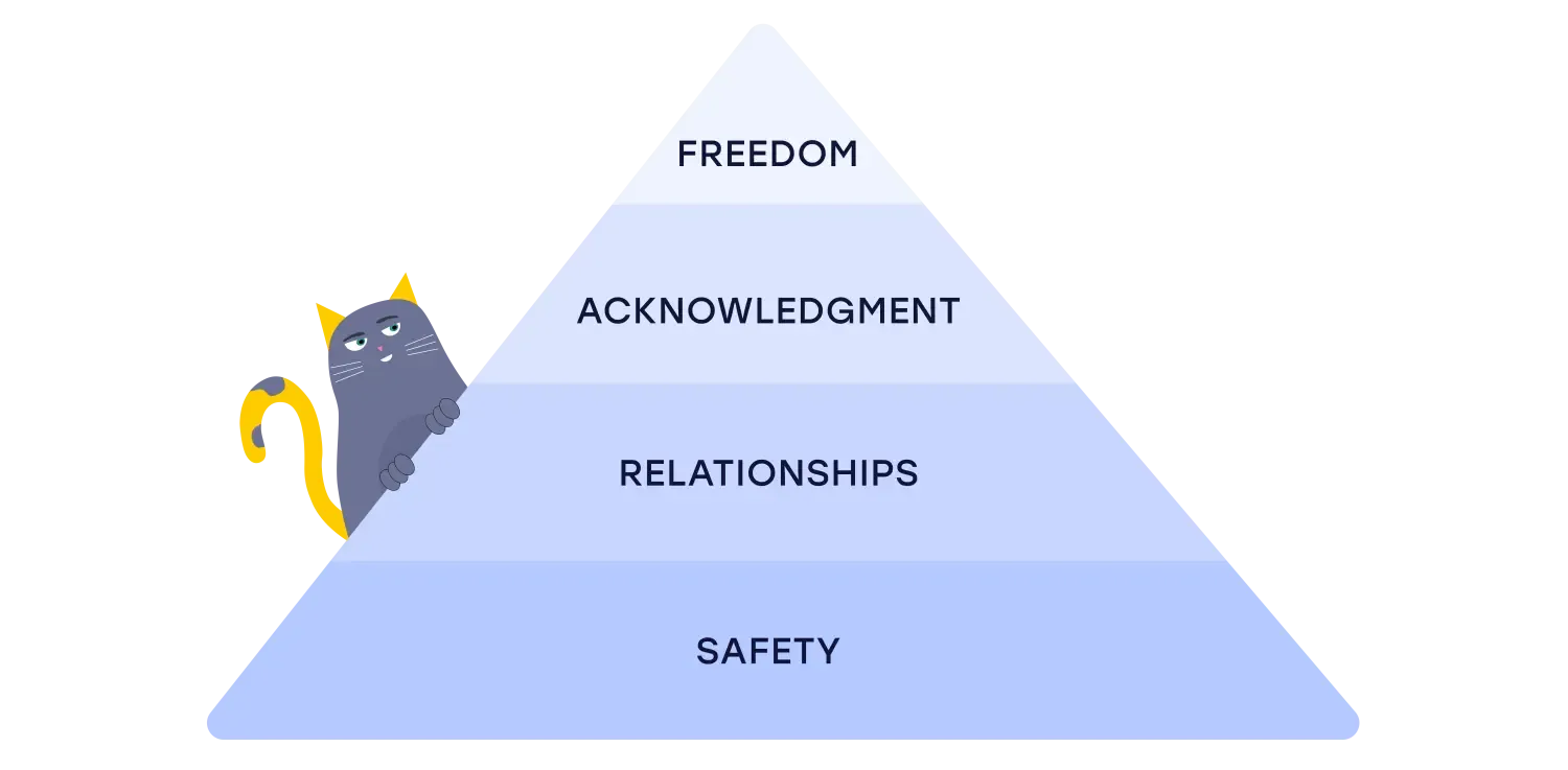 Mental health & wellbeing