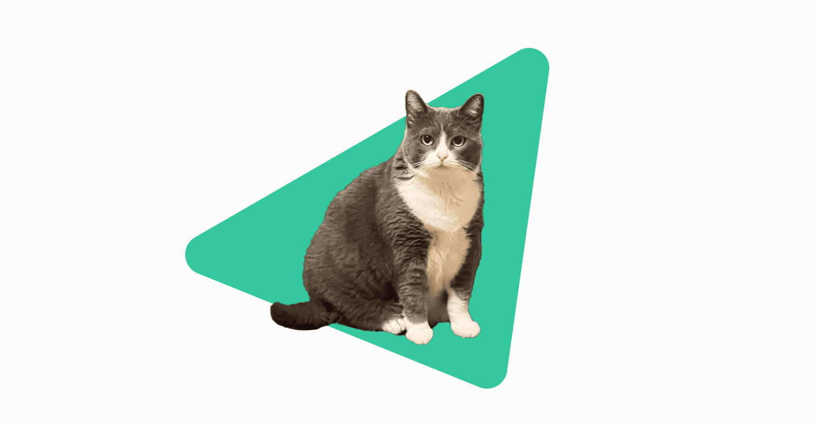 Dunja-The Inspiration Behind FatCat Name